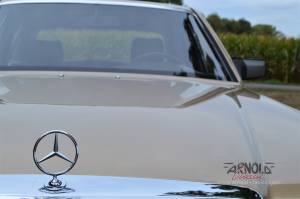 Bild 15/39 von Mercedes-Benz 300 SE (1986)