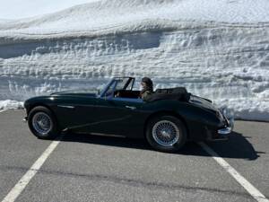 Afbeelding 2/22 van Austin-Healey 3000 Mk III (BJ8) (1967)