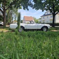 Image 6/100 of Mercedes-Benz 250 SL (1967)