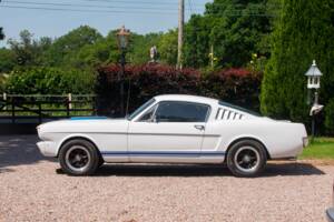 Bild 11/50 von Ford Shelby GT 350 (1965)