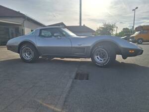Image 5/82 of Chevrolet Corvette 25th Anniversary (1978)