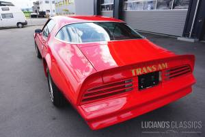 Bild 19/64 von Pontiac Firebird TransAm (1976)
