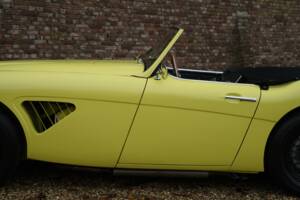 Bild 21/50 von Austin-Healey 3000 Mk I (BN7) (1960)