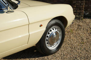 Bild 29/50 von Alfa Romeo 1600 Spider Duetto (1967)