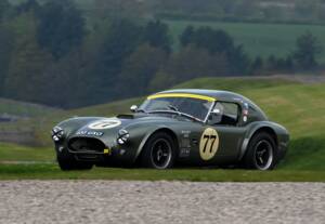 Imagen 7/15 de AC Shelby Cobra 289 (1965)