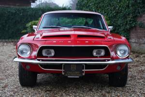 Image 31/50 de Ford Shelby GT 350 (1968)