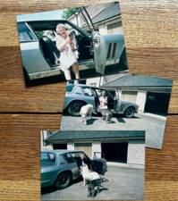 Bild 11/39 von Jensen FF (1969)