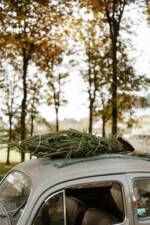 Immagine 26/56 di Volkswagen Maggiolino 1100 Standard "Ovali" (1954)