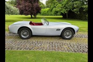 Bild 8/24 von AC Cobra 289 (2001)