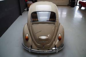 Image 5/50 de Volkswagen Maggiolino 1200 (1967)