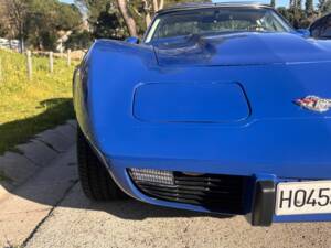 Bild 5/8 von Chevrolet Corvette Sting Ray (1981)