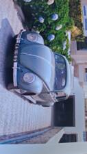 Bild 26/54 von Volkswagen Beetle 1100 Standard (Brezel) (1950)