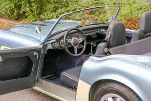 Bild 3/42 von Austin-Healey 3000 Mk II (BN7) (1961)