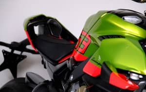 Bild 31/99 von Ducati Streetfighter V4 Lamborghini (2024)