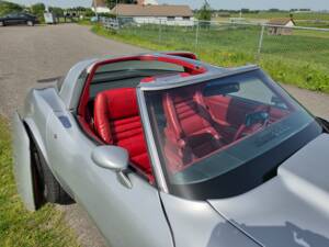 Bild 27/37 von Chevrolet Corvette 5.0L (1979)