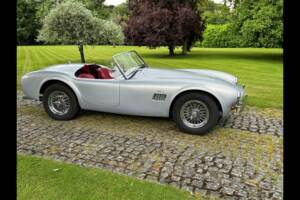 Bild 6/24 von AC Cobra 289 (2001)