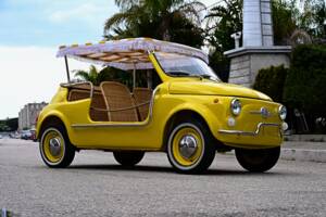 Image 39/45 of FIAT Ghia 500 Jolly (1971)