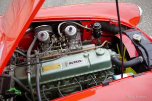 Bild 15/62 von Austin-Healey 3000 Mk III (BJ8) (1967)
