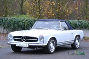 Image 4/50 of Mercedes-Benz 250 SL (1966)
