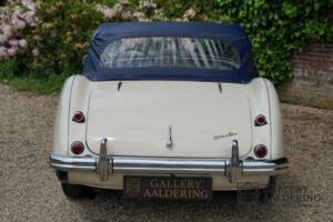 Image 10/50 of Austin-Healey 100/4 (BN1) (1954)