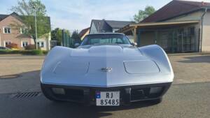 Image 2/82 of Chevrolet Corvette 25th Anniversary (1978)