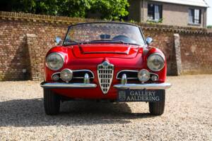 Bild 5/50 von Alfa Romeo Giulia 1600 Spider Veloce (1965)