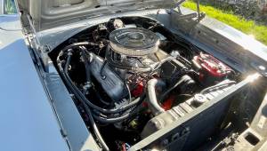 Immagine 38/56 di Dodge Charger R&#x2F;T 440 (1969)