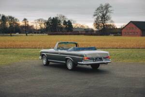 Afbeelding 4/25 van Mercedes-Benz 250 SE (1967)