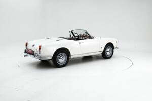 Immagine 2/15 di Alfa Romeo Giulia 1600 Spider Veloce (1965)