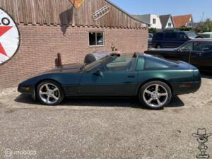 Immagine 5/29 di Chevrolet Corvette (1992)