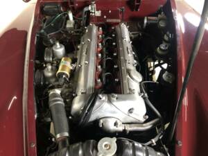 Bild 14/28 von Jaguar XK 140 SE DHC (1956)