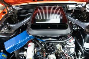 Bild 23/50 von Ford Mustang Boss 302 (1970)