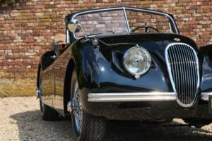 Immagine 40/50 di Jaguar XK 120 DHC (1953)