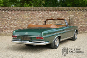 Image 45/50 of Mercedes-Benz 220 SE b (1964)
