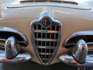 Bild 61/100 von Alfa Romeo Giulia 1600 Spider (1962)