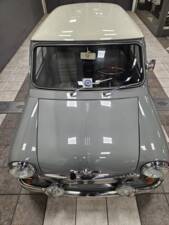 Immagine 4/15 di Morris Mini Cooper S 1275 (1966)
