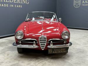 Bild 5/50 von Alfa Romeo Giulietta Spider Veloce (1959)