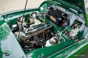 Image 13/41 of Triumph TR 3A (1959)