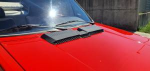 Bild 25/34 von Volkswagen Golf I Cabrio 1.5 (1981)