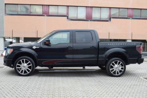 Bild 7/78 von Ford F-150 &quot;Harley-Davidson&quot; (2010)