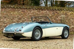 Bild 38/50 von Austin-Healey 3000 Mk I (BN7) (1960)