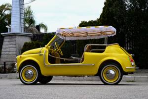 Image 14/45 of FIAT Ghia 500 Jolly (1971)