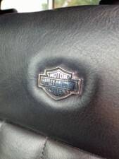 Immagine 15/31 di Ford F-150 &quot;Harley-Davidson&quot; (2006)
