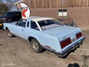 Afbeelding 8/29 van Ford Thunderbird (1979)