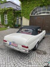 Image 54/77 of Mercedes-Benz 250 SE (1966)