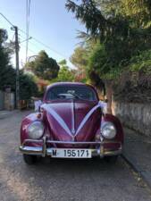 Imagen 8/15 de Volkswagen Käfer 1200 Standard &quot;Ovali&quot; (1956)