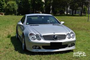 Image 9/39 of Brabus SV 12 S (2003)