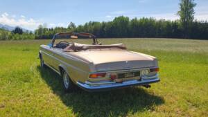 Image 36/38 of Mercedes-Benz 280 SE 3,5 (1969)
