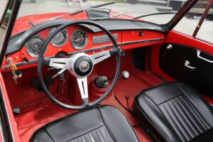 Bild 12/50 von Alfa Romeo Giulia 1600 Spider Veloce (1965)