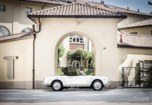 Bild 11/71 von Alfa Romeo Giulietta Spider (1960)